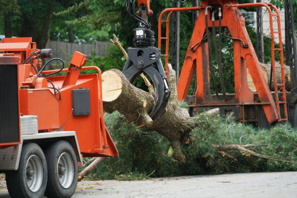 Best Landscape Design and Installation  in Omro, WI